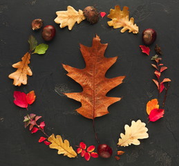 Autumn colourful leaves in circle frame on dark background