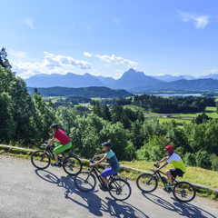 Radler-Gruppe mit E-Bikes im Königswinkel unterwegs