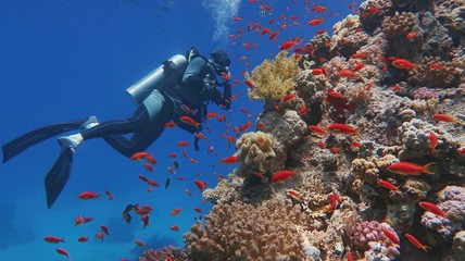 Man scuba diver admiring beautiful colorful coral reef