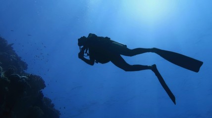 Underwater scenery, silhouette of diver in the deep blue water	