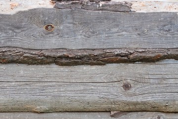 Obraz premium old rustic grunge oak wood texture background