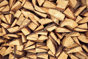 Firewood for heating the house in the winter period under the house.