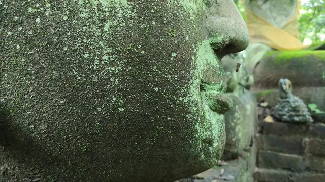 Buddha field of broken sculpture with beautiful ancient Buddha statue in middle of green nature, collection of old Buddha heads and busts covered with moss in Wat Umong temple in Chiang Mai, Thailand