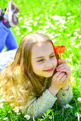 Spring break concept. Child enjoy spring sunny day while lying at meadow with daisy flowers. Girl on smiling face holds red tulip flower, enjoy aroma. Girl lying on grass, grassplot on background.