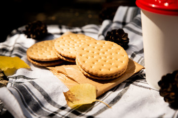 Close up of tasty lunch on nature in autumn forest. Flat lay of black hat, scarf, cup with coffee and sweet cookies. Autumn season and picnic concept.