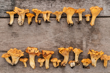 Chanterelles mushrooms on wooden background. Place for text.