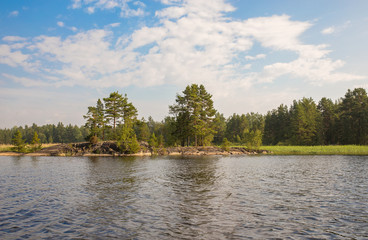 A deserted island with reeds and pine . The best place for fishing. Silence. Wild nature. Tourism. Adventure. Vacation.