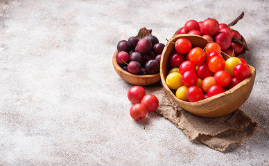 Various type of cherry-plum in wooden bowls 