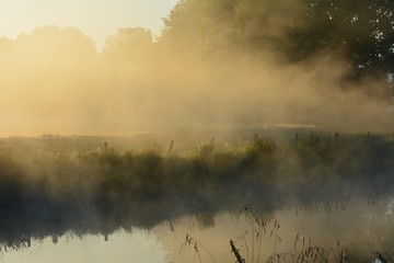 Morgennebel