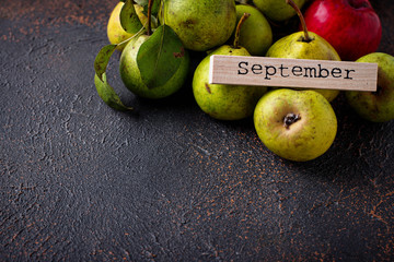 Autumn September background with pears 