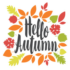 Vector illustration with calligraphic inscription Hello Autumn in a frame of colorful autumn leaves. Can be used for flyers, banners or posters