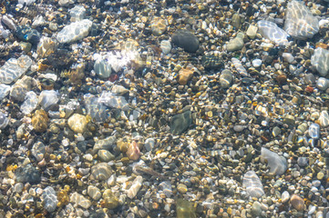 sea pebble beach with multicoloured stones, waves with foam