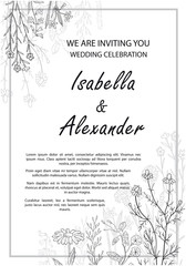 Wedding invitation frames with herbs and wild flowers.