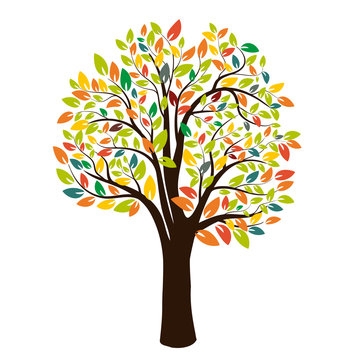 Autumn silhouette of a tree with colored leaves. Isolated on white background. Vector