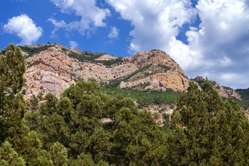 Fototapeta na wymiar Mountain landscape. Sheer cliffs overgrown with forest
