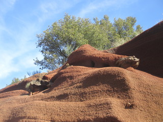 Zona volcánica la Garrotxa