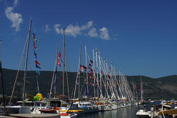 Boats in the marina. International community