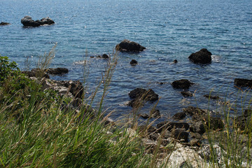 Rocky bay surrouded with grass during daytime