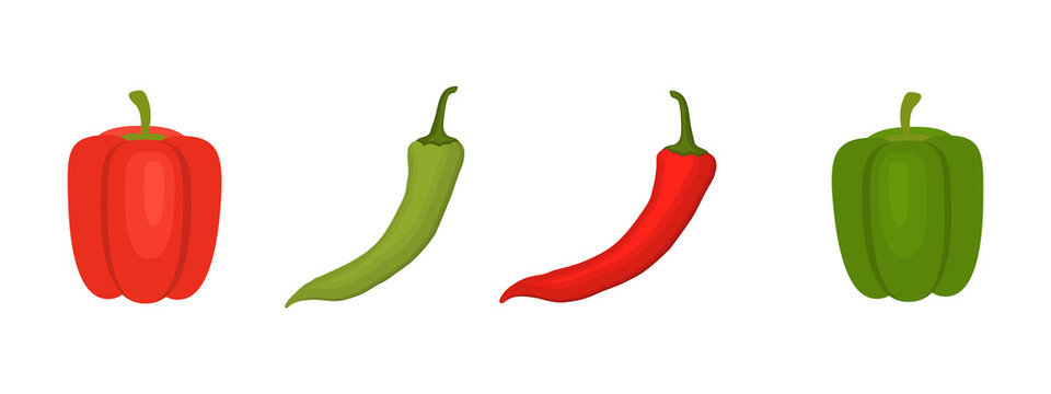 Red and green peppers isolated on a white background. Chilli peppers and sweet peppers. Vector illustration
