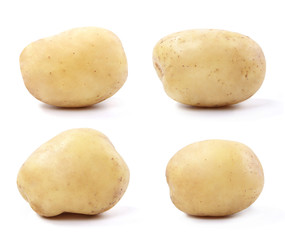 Potato isolated on white background. Collection.