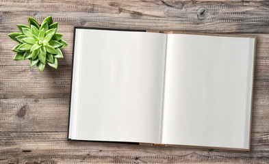 Minimal flat lay Open book succulent wooden background