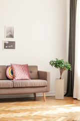 Plant next to sofa with pillows in living room interior with wooden floor and posters. Real photo