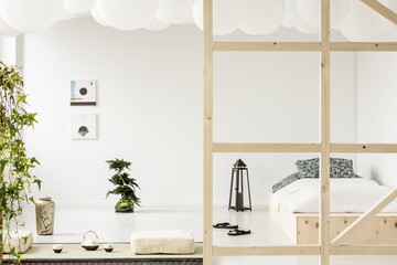 Posters on white wall above bonsai in bedroom interior with lantern next to wooden bed. Real photo