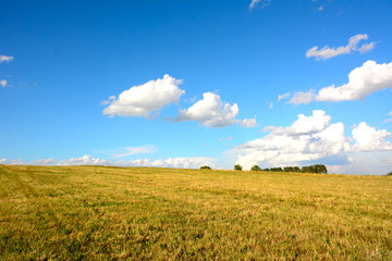 field in sunlight and blue sky 