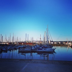 boats in the harbor