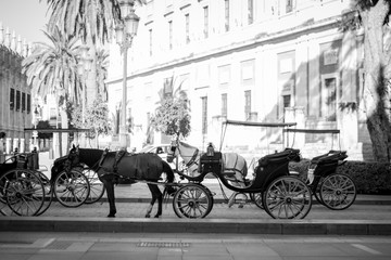 Streetlife Sevilla Summer Travel