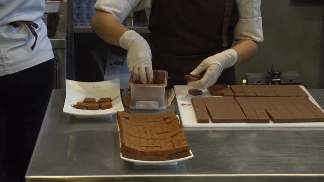 Woman made cocoa powder falls sifting on chocolate bars and arrange down the dish
