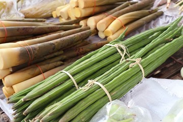 Fresh moringa at market