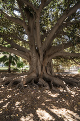 Streetlife Sevilla Summer Travel
