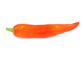 Orange chili pepper isolate on white background