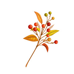 Autumn branch with berries