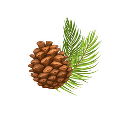 pine branch with cone - obrazy, fototapety, plakaty