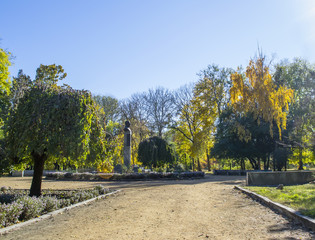Colorful leaves in the autumn in the park