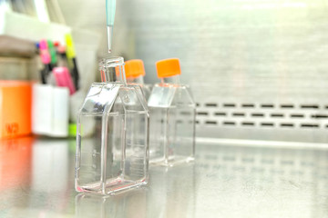 The women researcher using pipette and cell culture flask do the aseptic technique for changing the medium of adherent cell culture is needed to maintain cells in numeral growth.