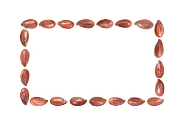Close up of linseeds or flax seeds arranged in a rectangle shape isolated on white background