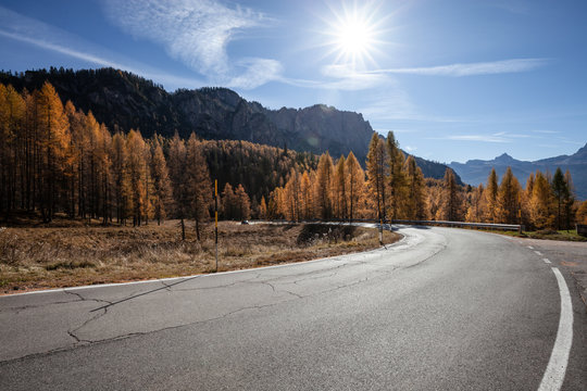 Fototapeta Road in the autumnal forest. Fall colors alpine landscape