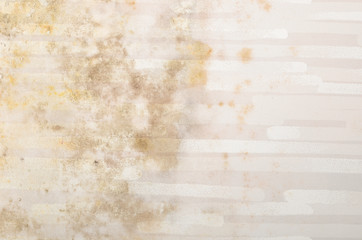 bright texture of the fabric with a spot of mold