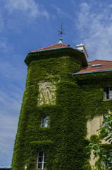 park kwiaty  © wedrownik52