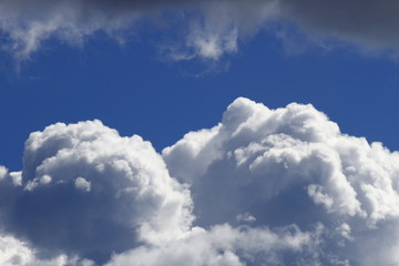 Naklejka na ściany i meble Sky with clouds and swallow, blue sky blue clouds of black swallows.