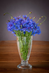 Cornflower in a vase