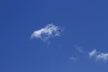 Sky with clouds and swallow, blue sky blue clouds of black swallows.