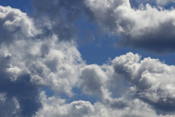 Fototapeta premium Sky with clouds and swallow, blue sky blue clouds of black swallows.