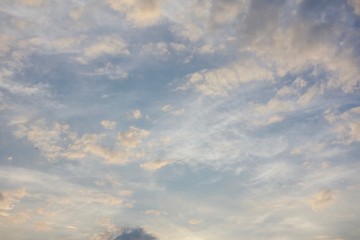 Fototapeta premium 空