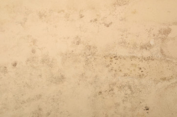 bright texture of the fabric with a spot of mold