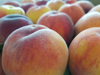 several peaches close-up