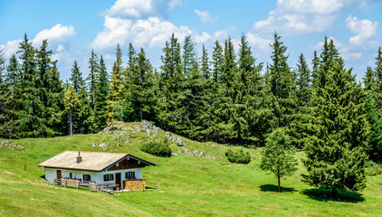 old log cabin